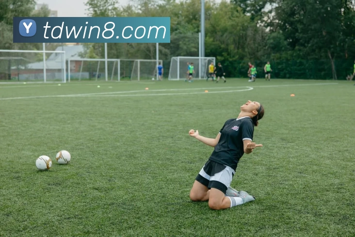 腾达娱乐官网服务体系